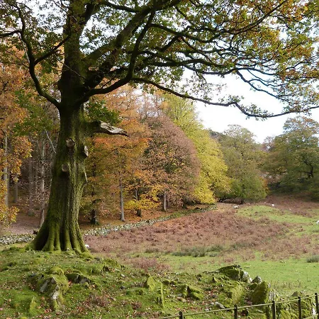 Feriehus The Oaks 2 Windermere